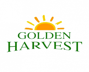 golden-harvest